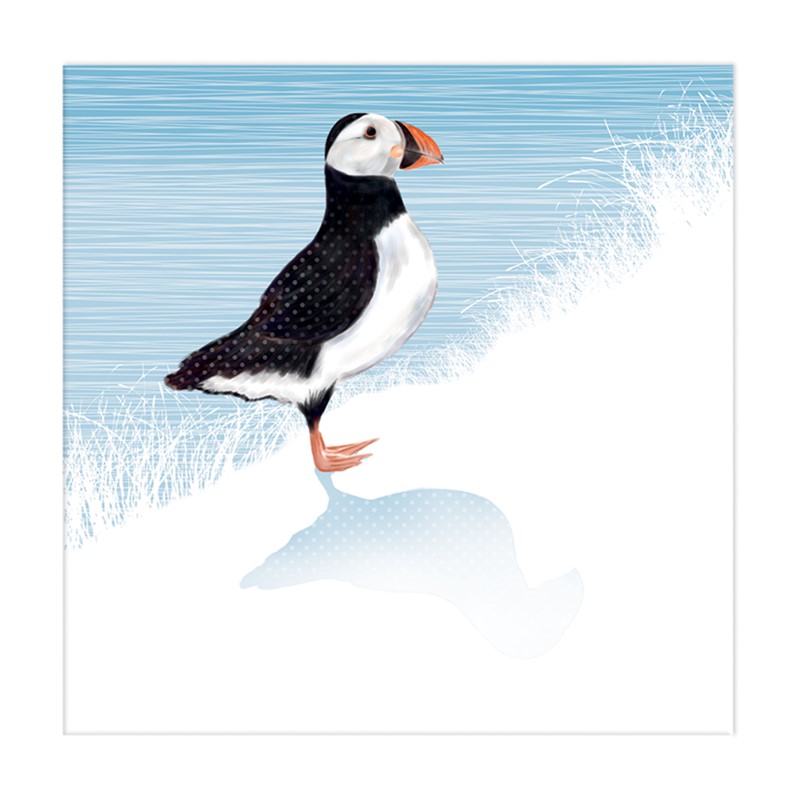 RSPB Nature Trail Card - Puffin