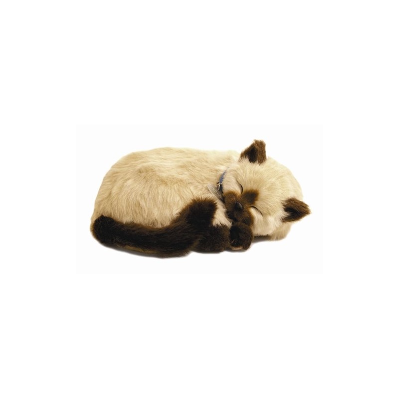 Precious Petzzz - Siamese Cat