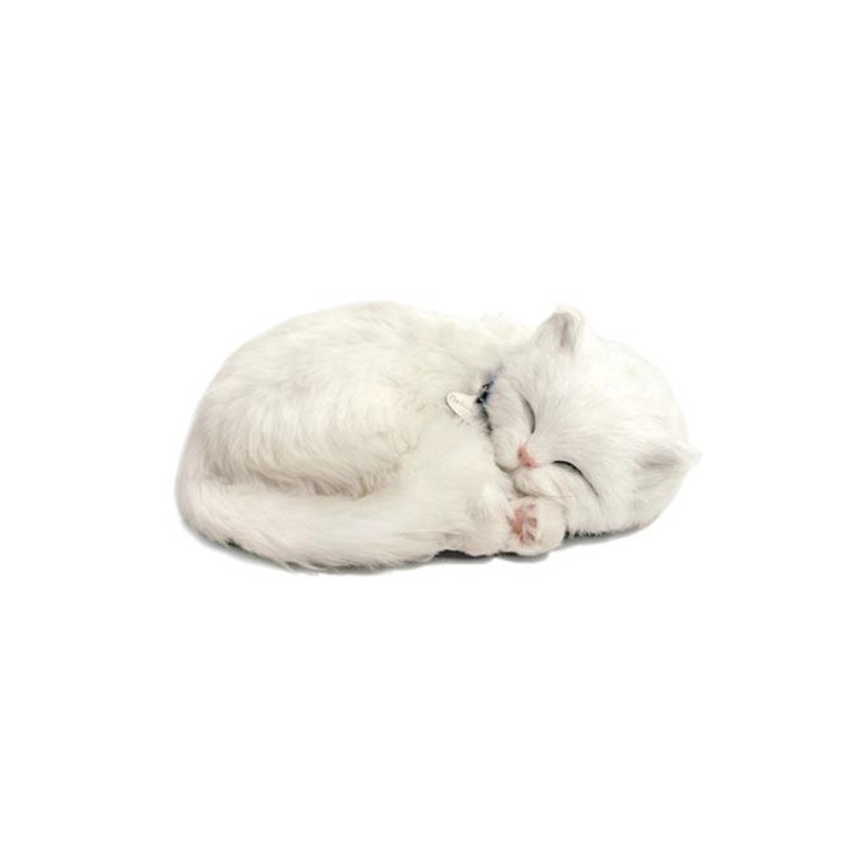 Precious Petzzz - White Short haired Cat
