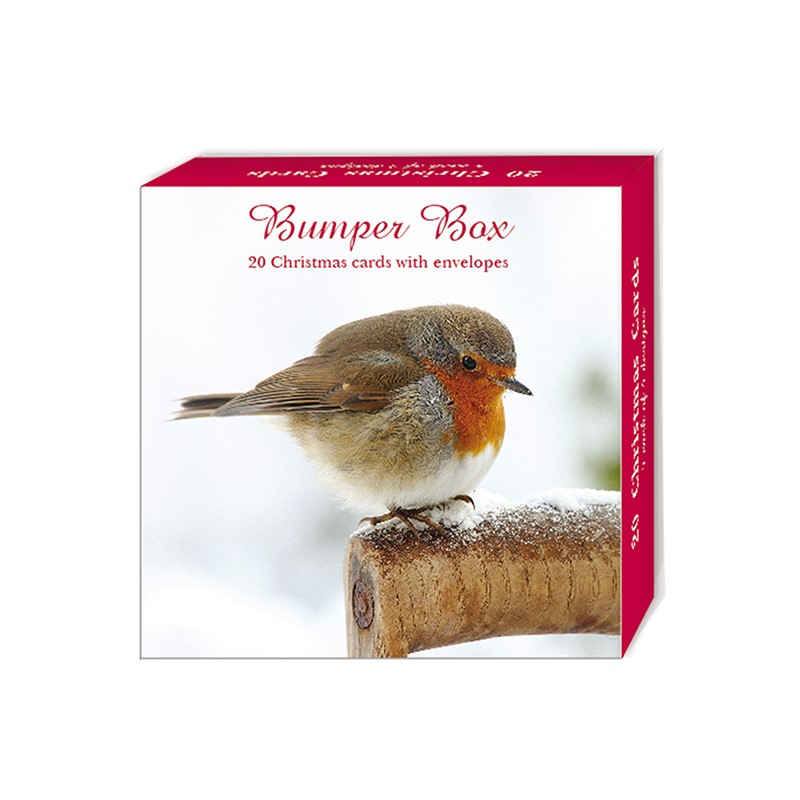 Assorted Christmas Cards - Merry Robins