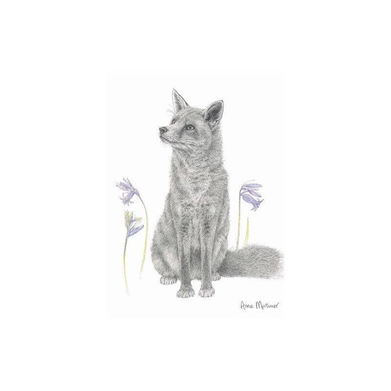 RSPB Card - In the Flowers - Bluebell Fox
