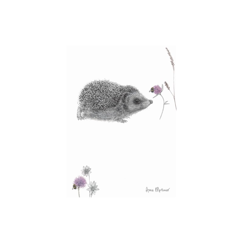 RSPB Card - In the Flowers - Hello Hedgehog