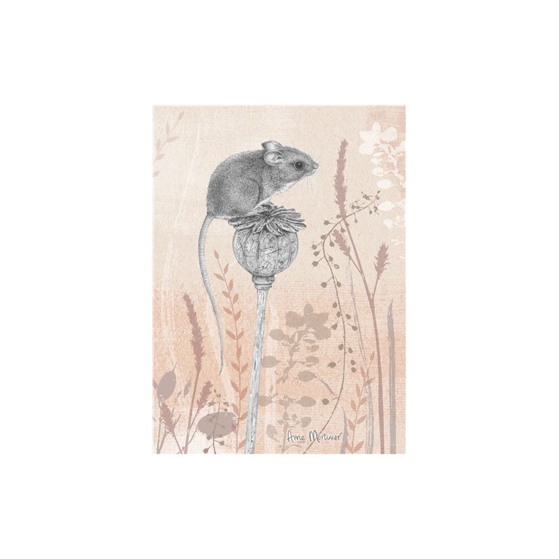 RSPB Card - Petals & Perches - Magnificent Mouse