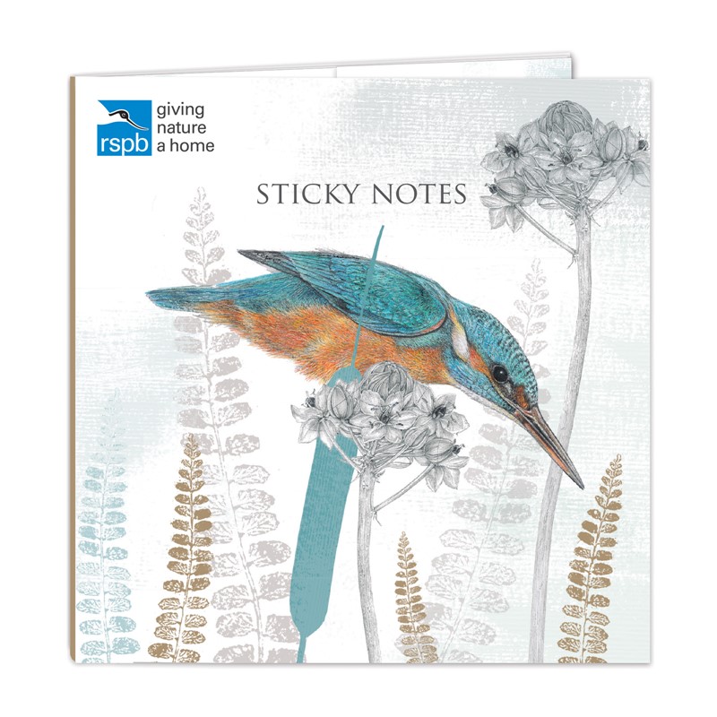 RSPB - Sticky Notes Selection (Kingfisher)