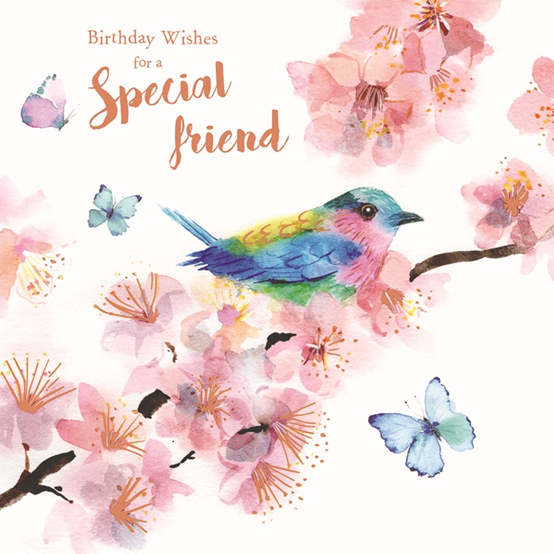 Birthday Treats Card Collection - Birds & Blossom