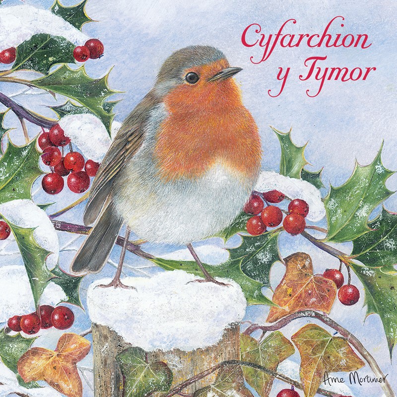 Welsh Christmas Cards (Small) - Winter Robin