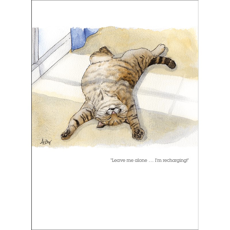 Alison's Animals Card Collection - I'm Recharging (125x172mm)