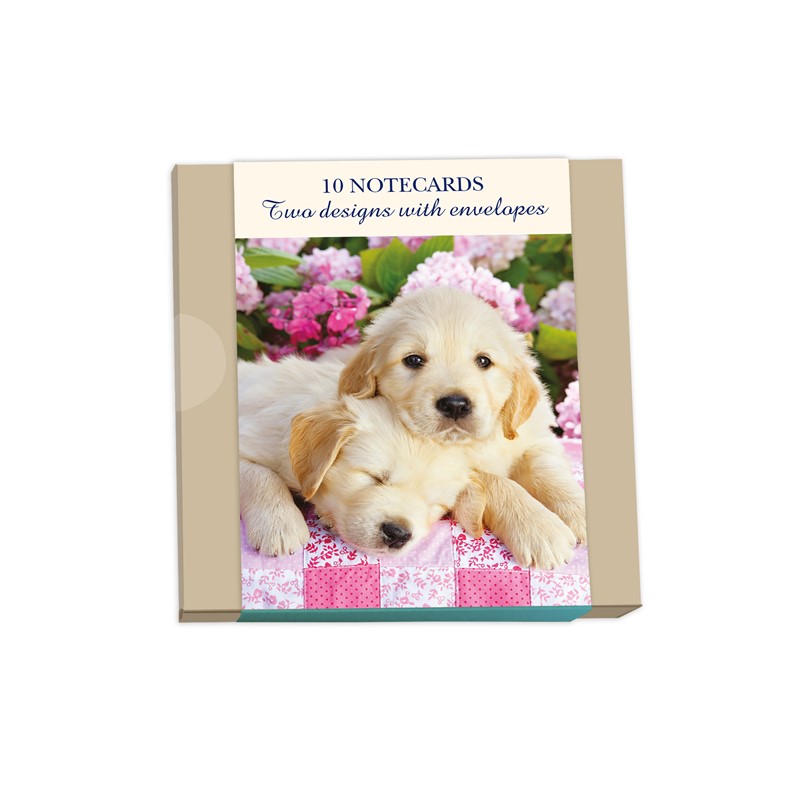 Notecard Wallets (10 Cards) - Puppies & Flowers