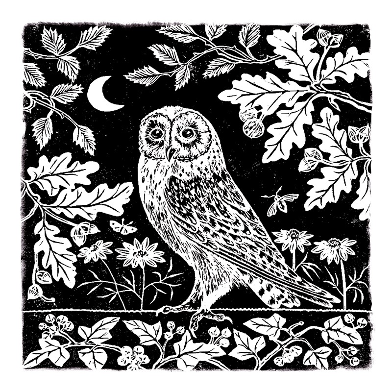 RSPB Natures Print Card - Owl & Moon