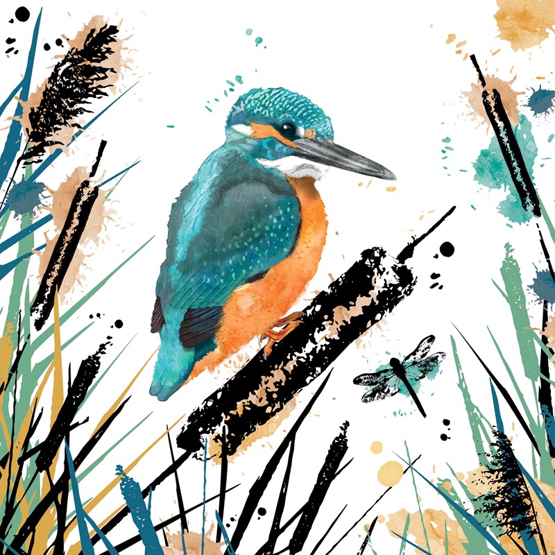 RSPB Field & Forest Card - Kingfisher