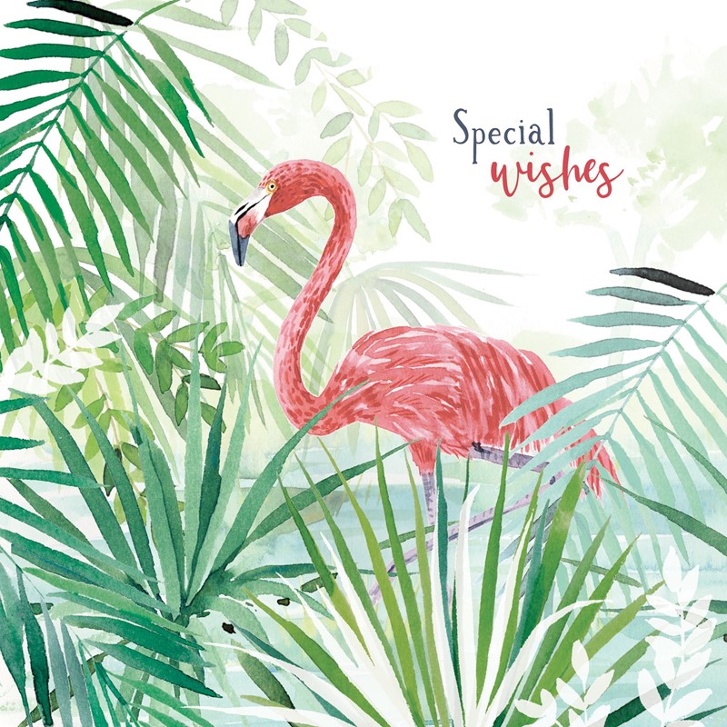 Wild & Serene Card Collection - Flamingo