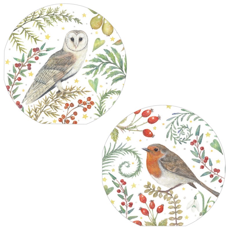 Luxury Christmas Card Pack - Winter Birds