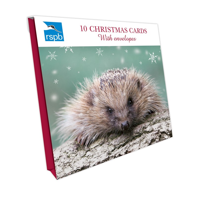 RSPB Small Square Christmas Card Pack - Little Hedgehog