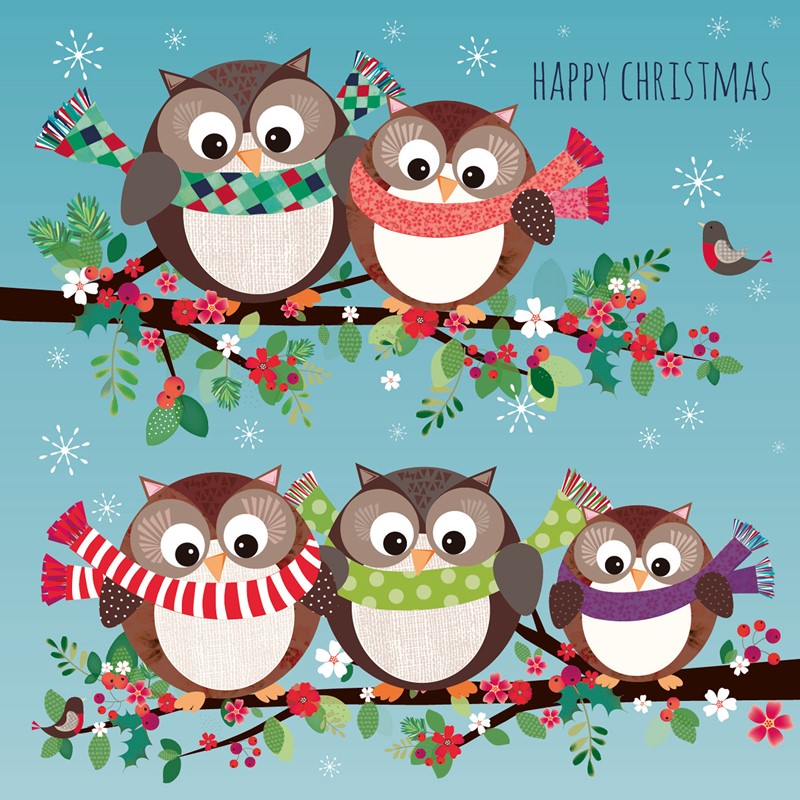 Charity Christmas Card Pack - Owl Party