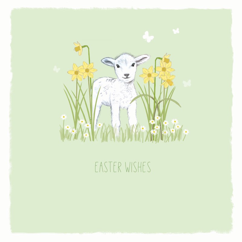 Easter 5 Card Pack - Spring Lambs & Daises
