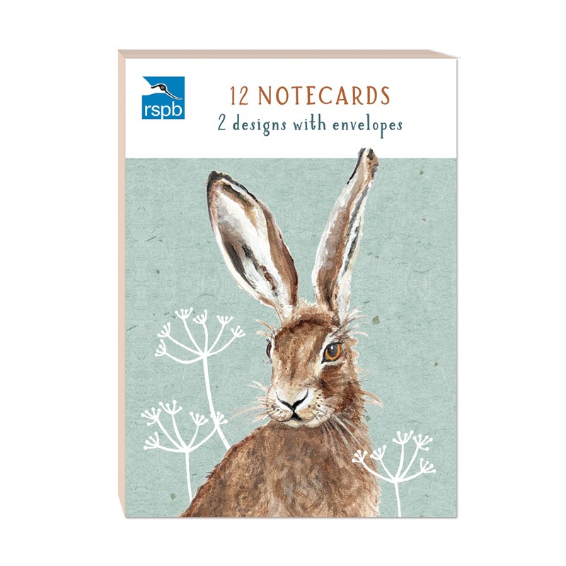RSPB - In The Wild Stationery - Square Notecard Pack (12 Card Pack) - Hares