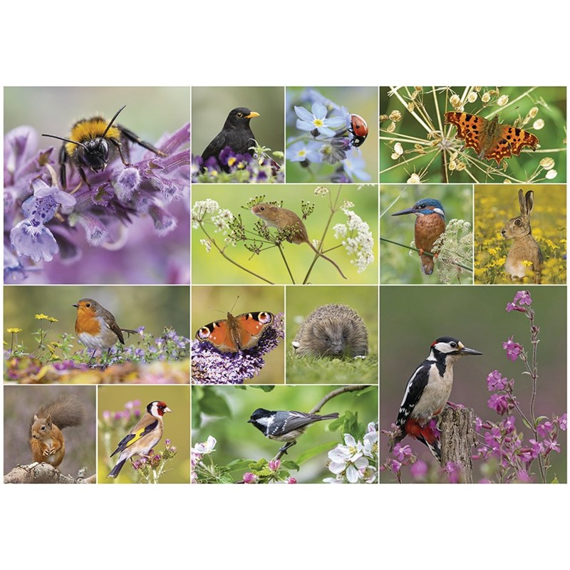 RSPB - Bird & Wildlife - 1000 Piece Jigsaw Puzzle