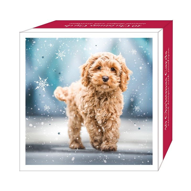 Assorted Christmas Cards - Christmas Pups