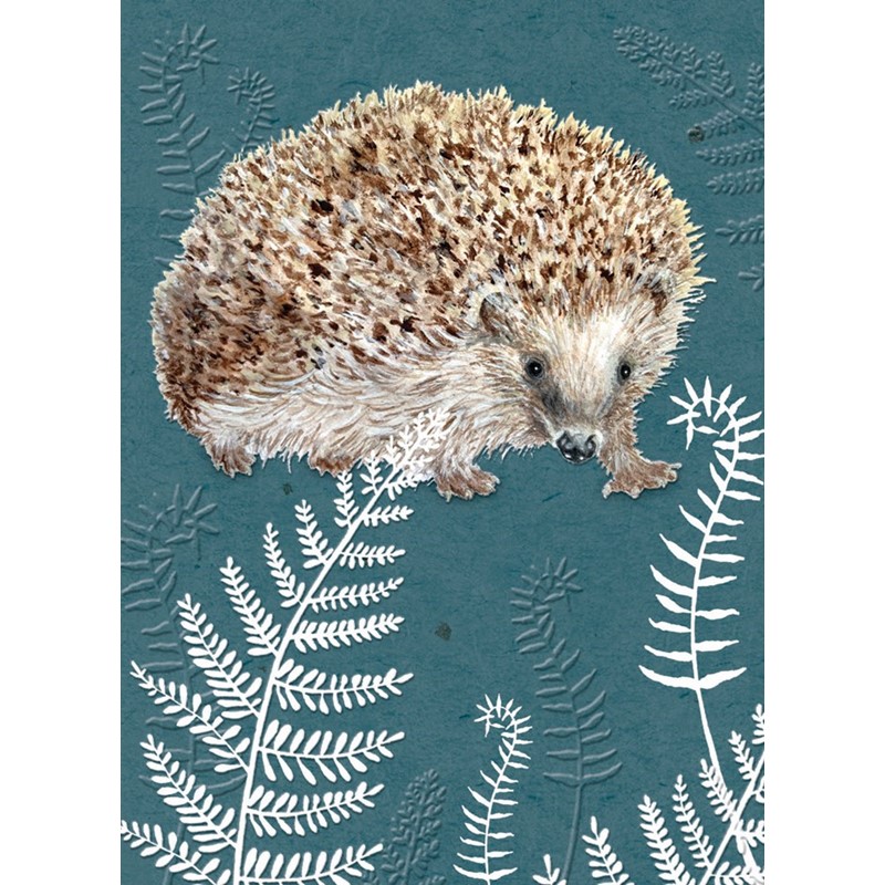RSPB - In The Wild Card - Hedgehog