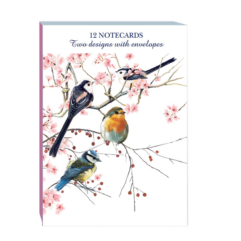 Notecard Pack (12 Cards) - Birds, Blossom & Berries