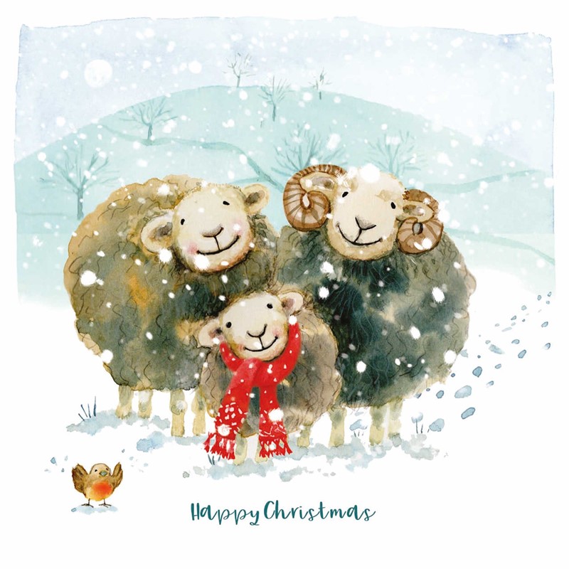 [Pre-Order] Charity Christmas Card Pack - Huddling Herdwicks