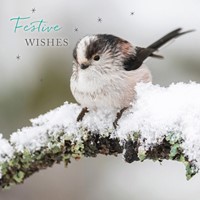 77578-1_RSPB_Snowflakes-&-Feathers_gc.jpg