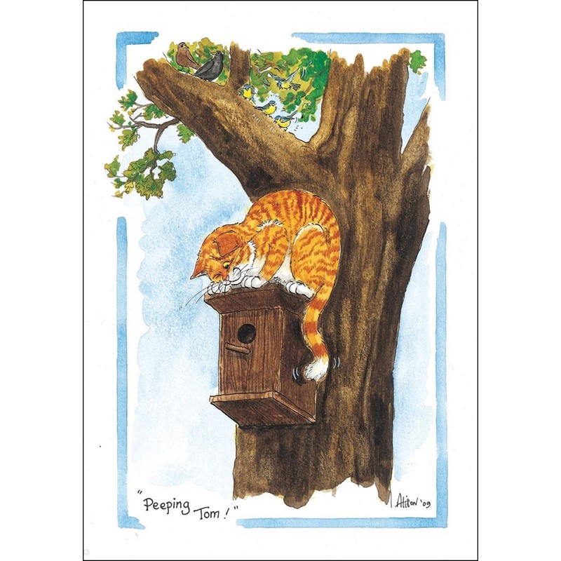 Alisons Animals Card - Peeping Tom (Splimple - 150x210mm)