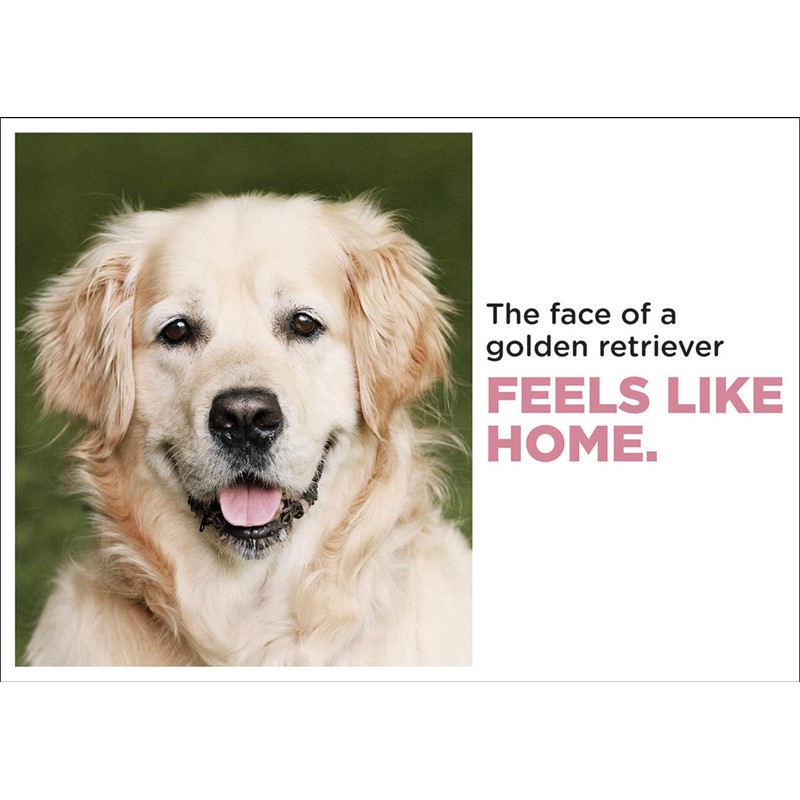 Barking at the Moon Card - The face of a Golden Retriever (Splimple)
