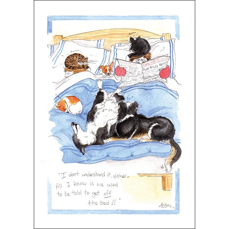 Alisons Animals Card - Bedwarmers (Splimple - 150x210mm)