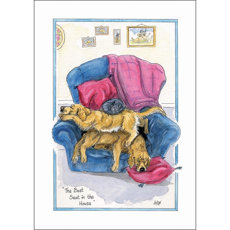 Alisons Animals Card - Best seat in the house (Splimple - 150x210mm)