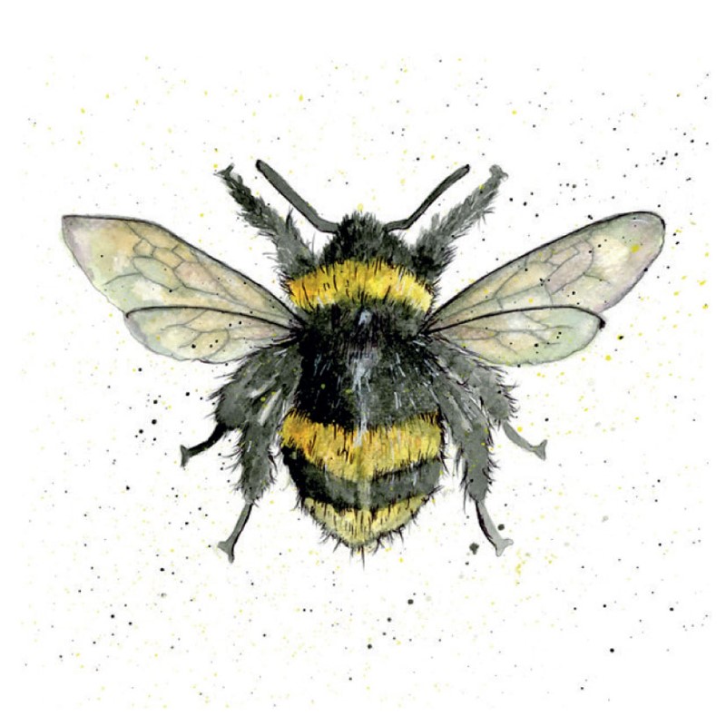 Fur & Feather Card Collection - Bumble Bee