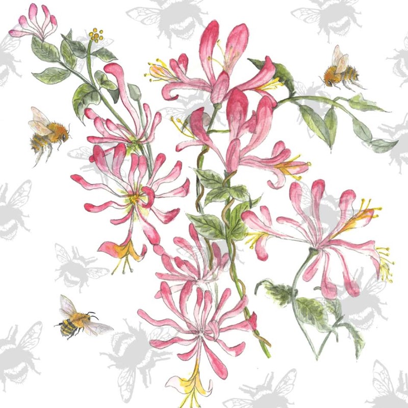 Bee-Tanical Card Collection - Honeysuckle