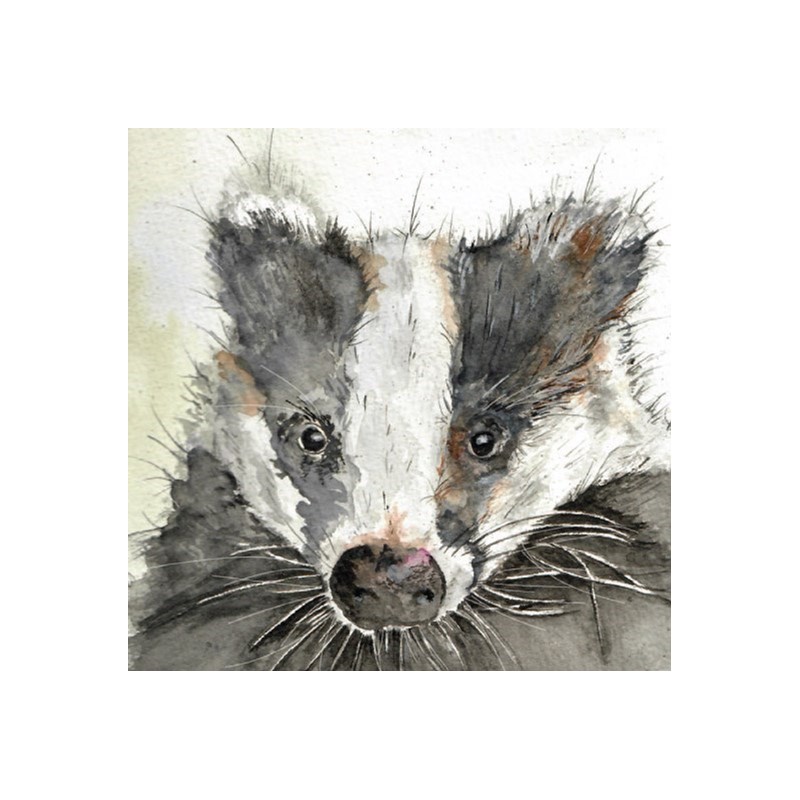 Fur & Feather Card Collection -Badger