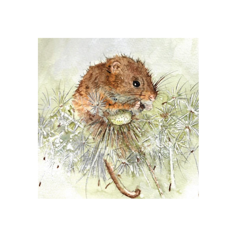 Fur & Feather Card Collection - Harvest Mouse