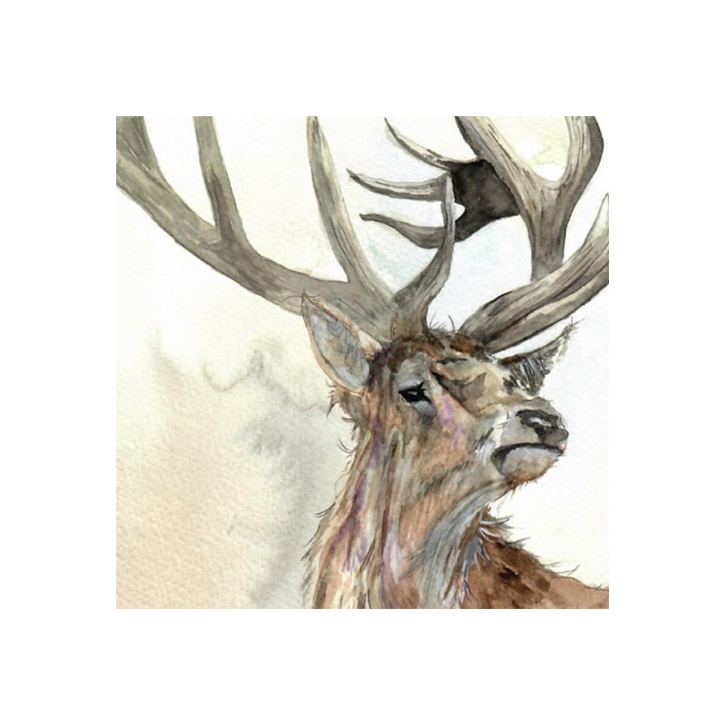 Fur & Feather Card Collection -Forest Stag