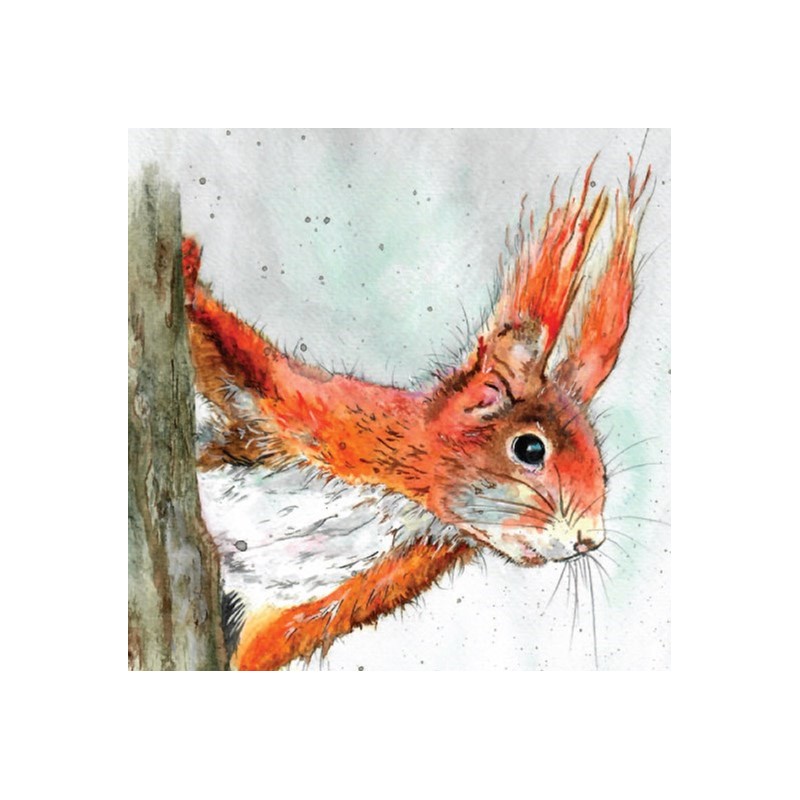 Fur & Feather Card Collection - Red Squirrel