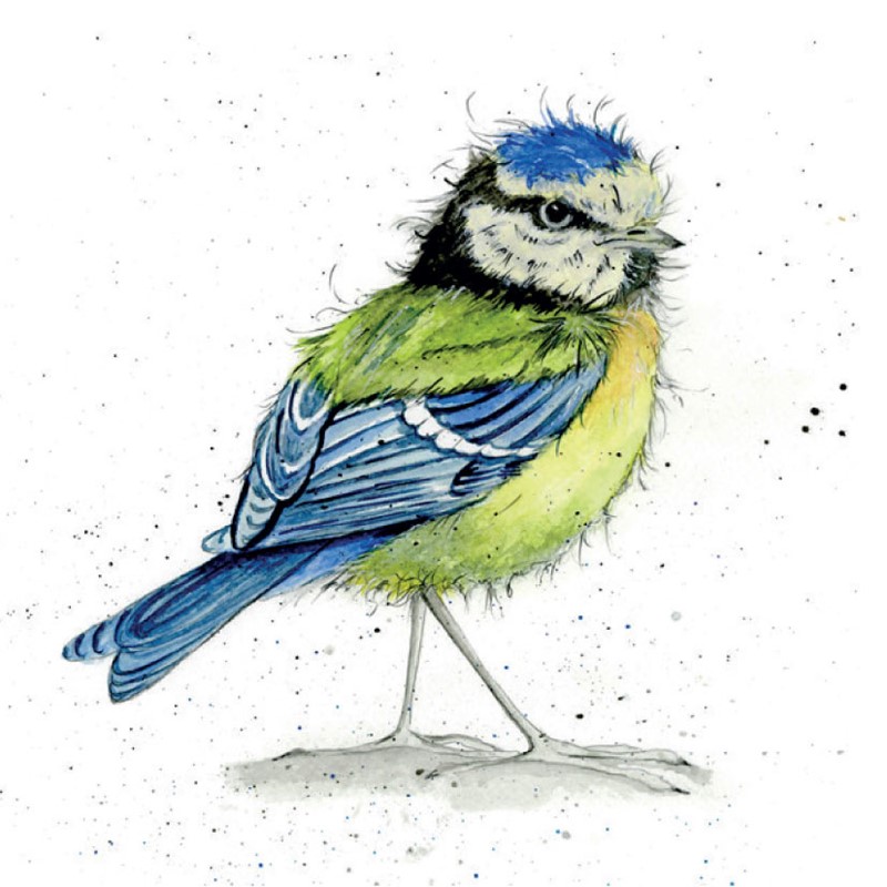 Fur & Feather Card Collection - Blue Tit