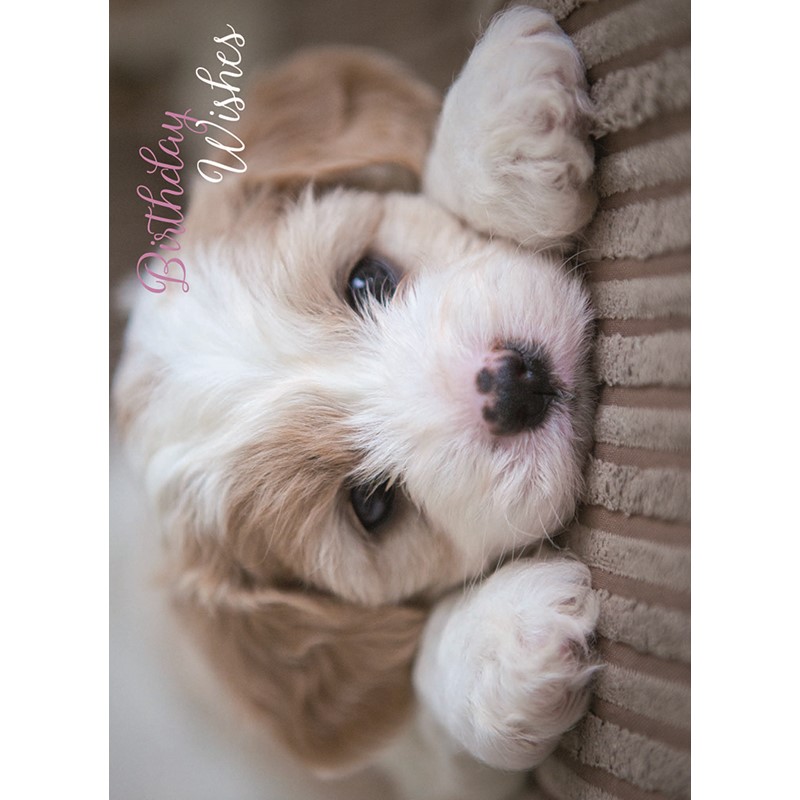 Animal Birthday Card - Cute Pup