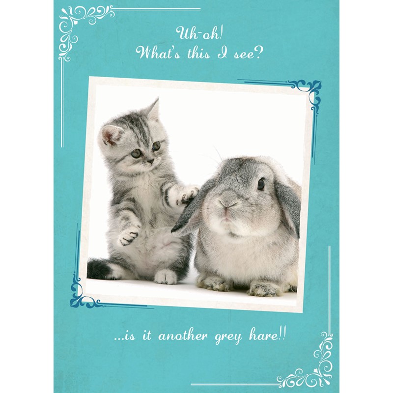 What A Hoot Card - Another Grey Hare