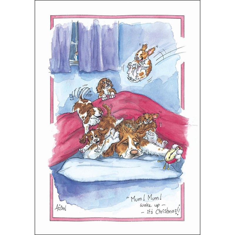 XMAS CARD - Alisons Animals - Christmas Morning (Splimple - 150x210mm)